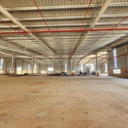 Ảnh đại diện