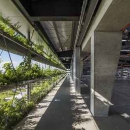 Ảnh đại diện