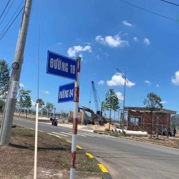 Ảnh đại diện