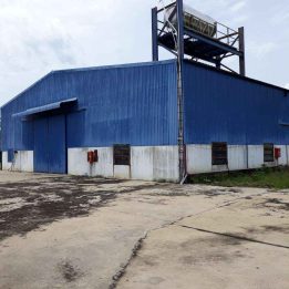 Ảnh đại diện