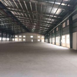 Ảnh đại diện