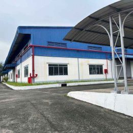 Ảnh đại diện