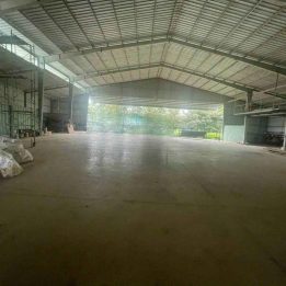 Ảnh đại diện