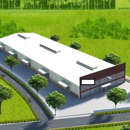 Ảnh đại diện