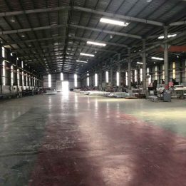 Ảnh đại diện