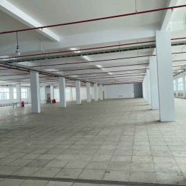 Ảnh đại diện