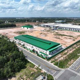 Ảnh đại diện