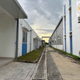 Ảnh đại diện