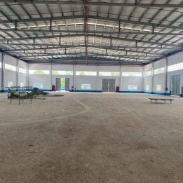 Ảnh đại diện