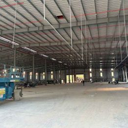 Ảnh đại diện