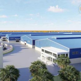 Ảnh đại diện