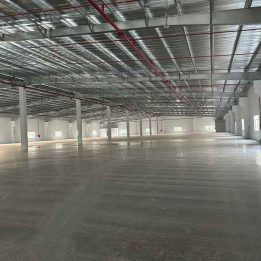 Ảnh đại diện