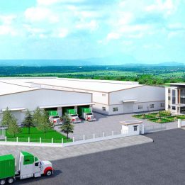 Ảnh đại diện