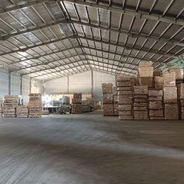 Ảnh đại diện