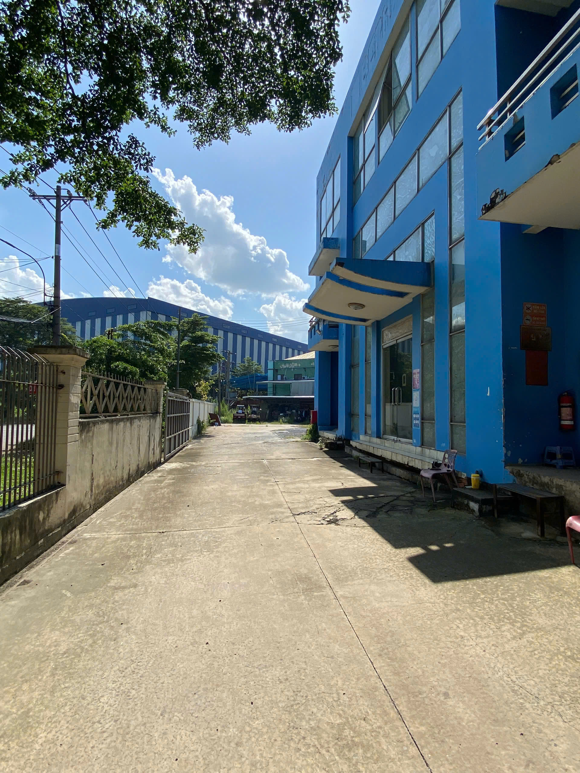 Ảnh đại diện