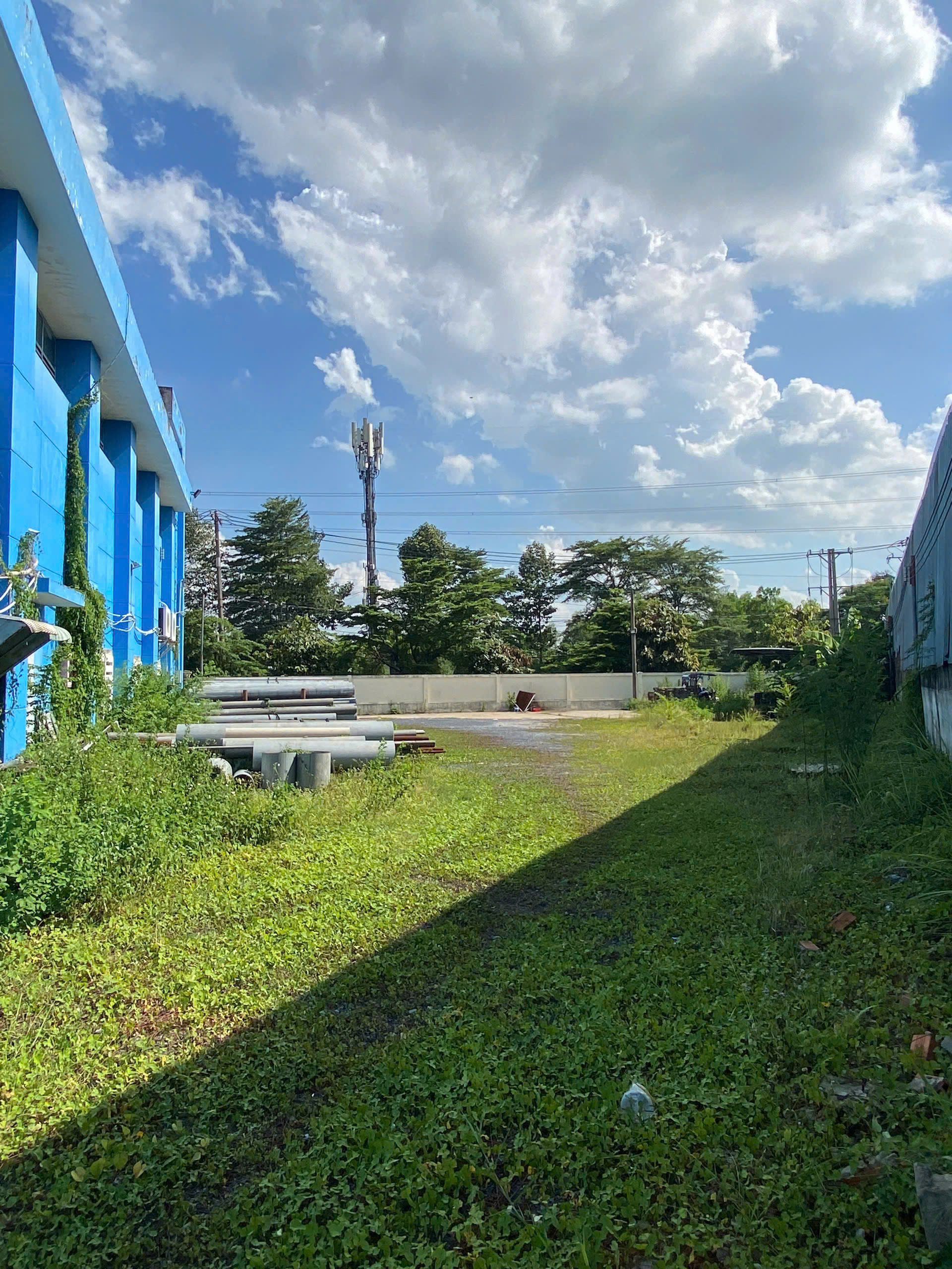 出售位于胡志明市的厂房，面积7,000平方米，位于安夏工业区，投资回报稳定可持续