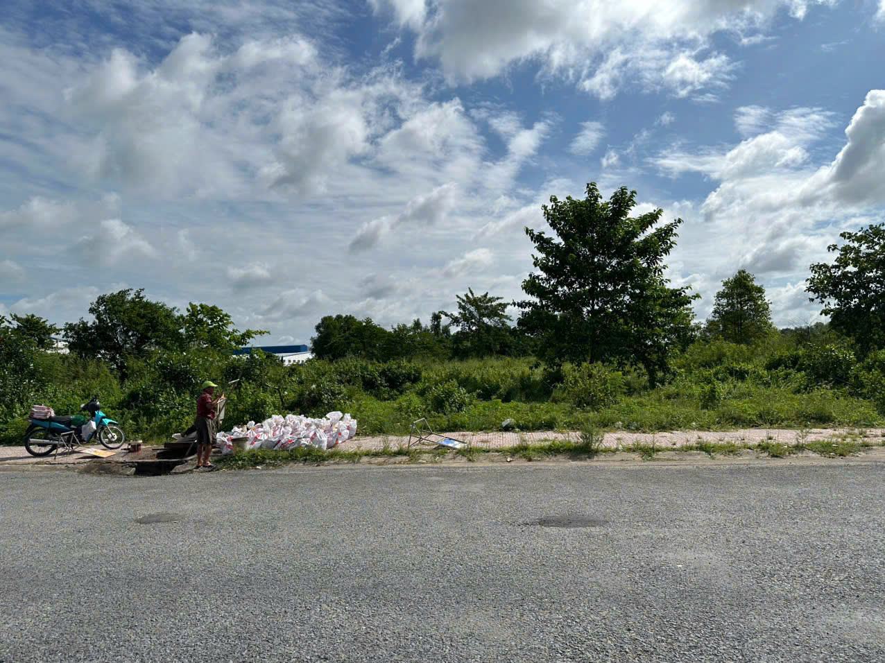 Ảnh đại diện