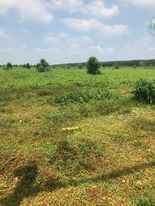 Ảnh đại diện