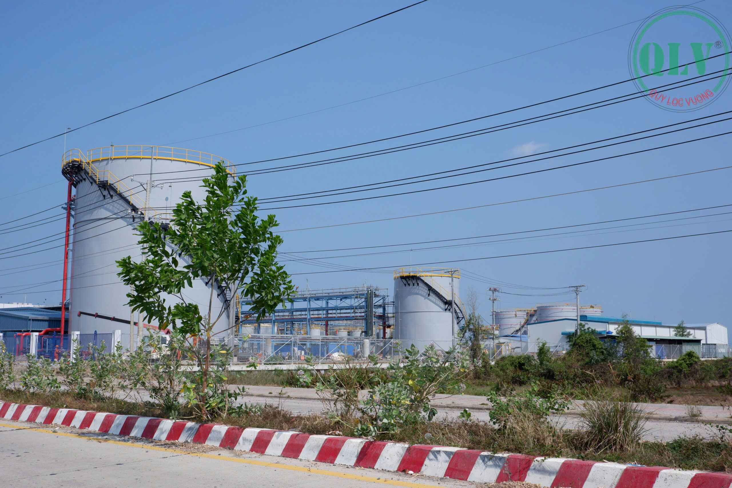 Ảnh đại diện