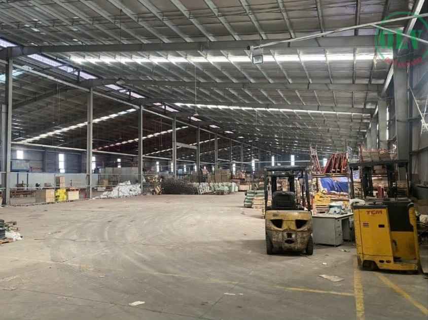 Ảnh đại diện