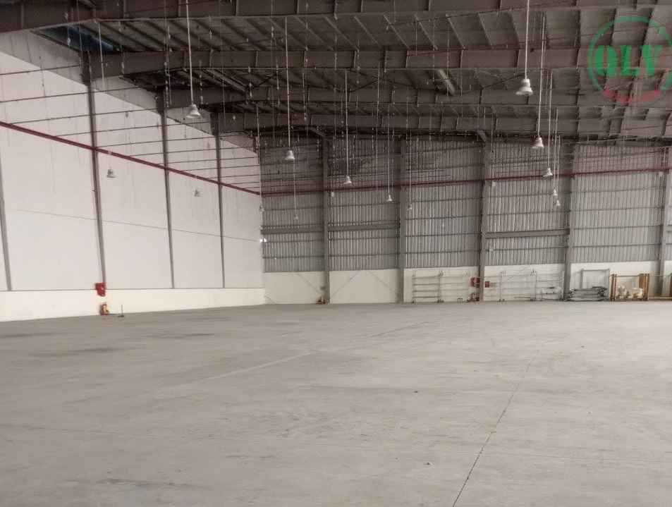 Ảnh đại diện