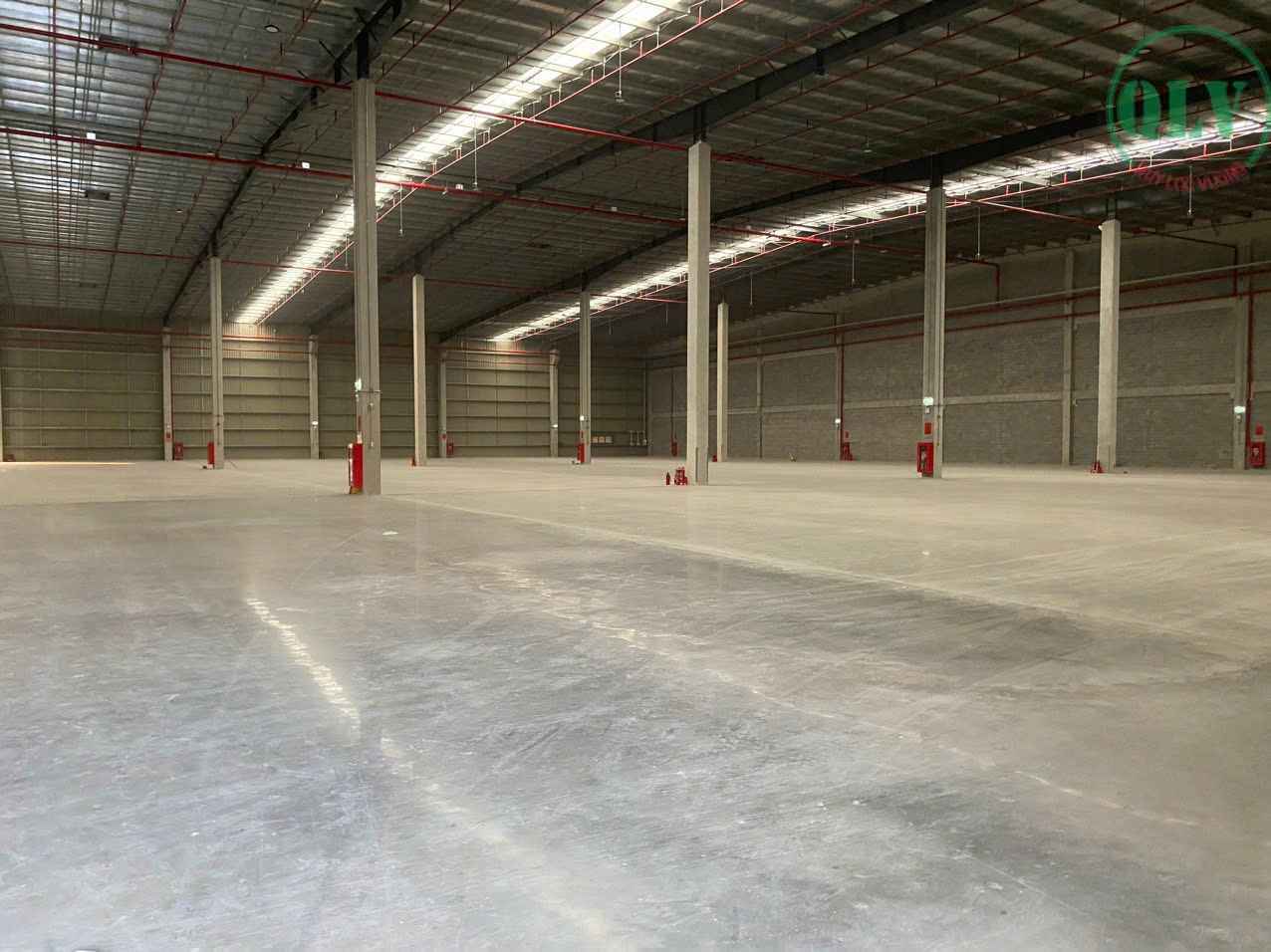 Ảnh đại diện