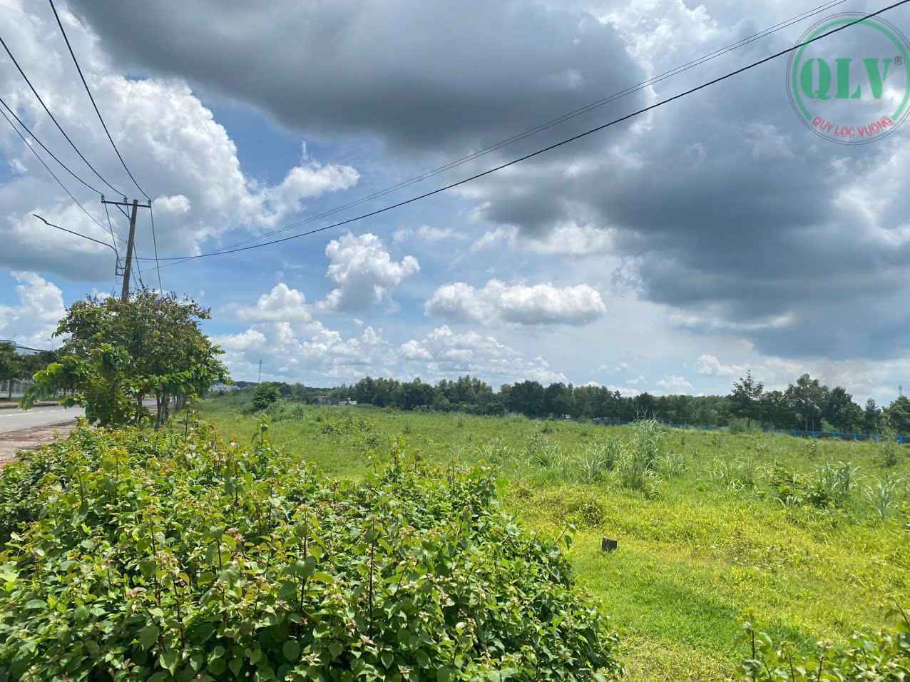 Ảnh đại diện