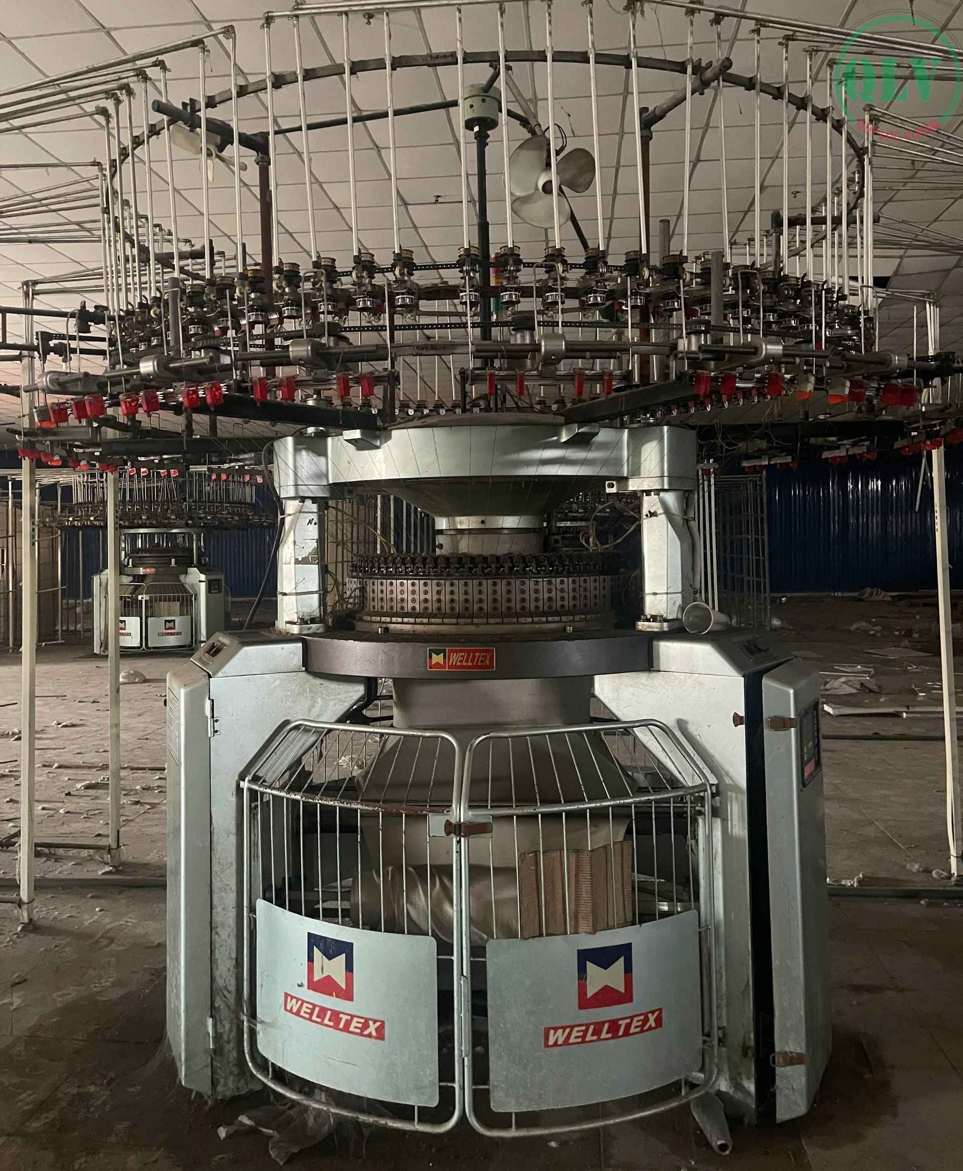 Ảnh đại diện