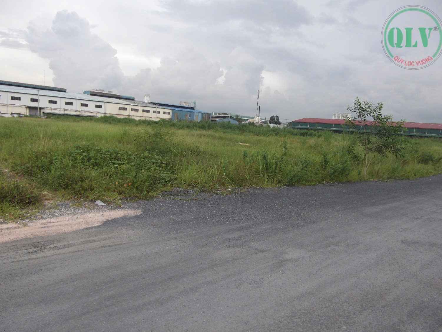 Ảnh đại diện