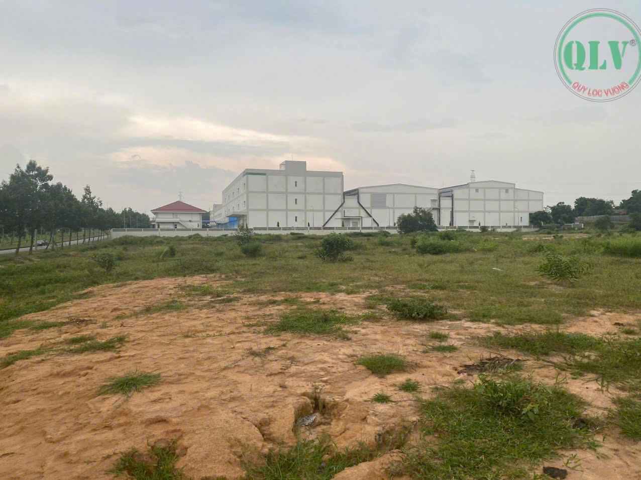 Ảnh đại diện