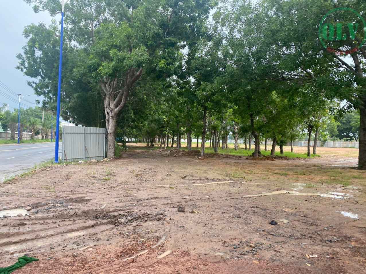 Ảnh đại diện