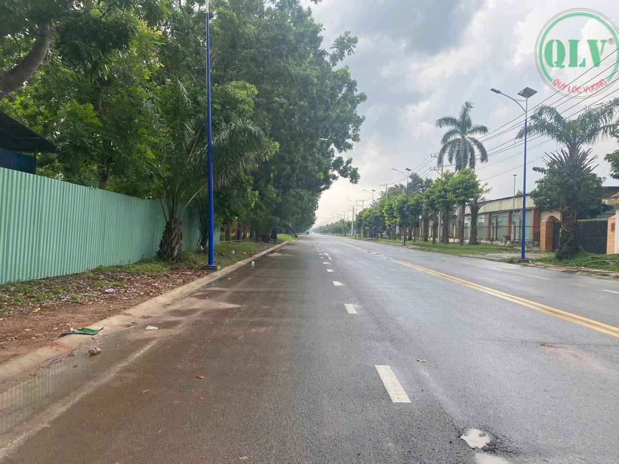 越南工业地产投资：隆安省和平工业区土地，面积4,000平方米，黄金地段