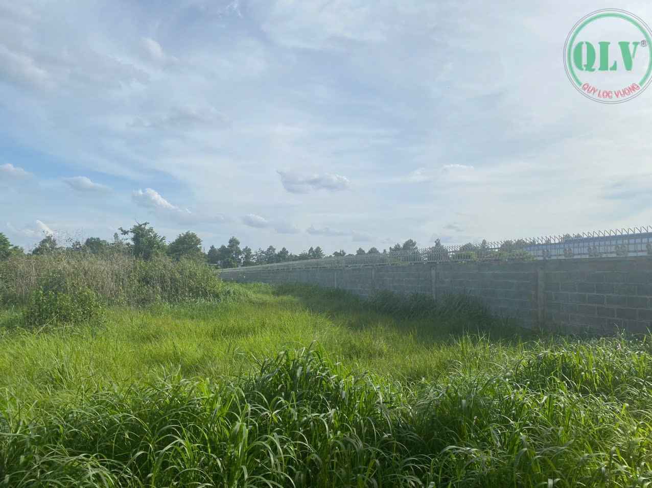 Ảnh đại diện