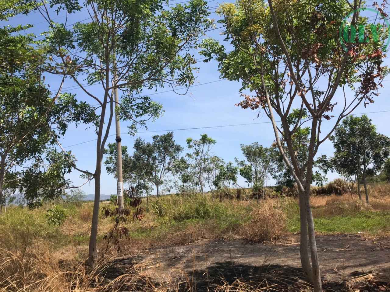 Ảnh đại diện