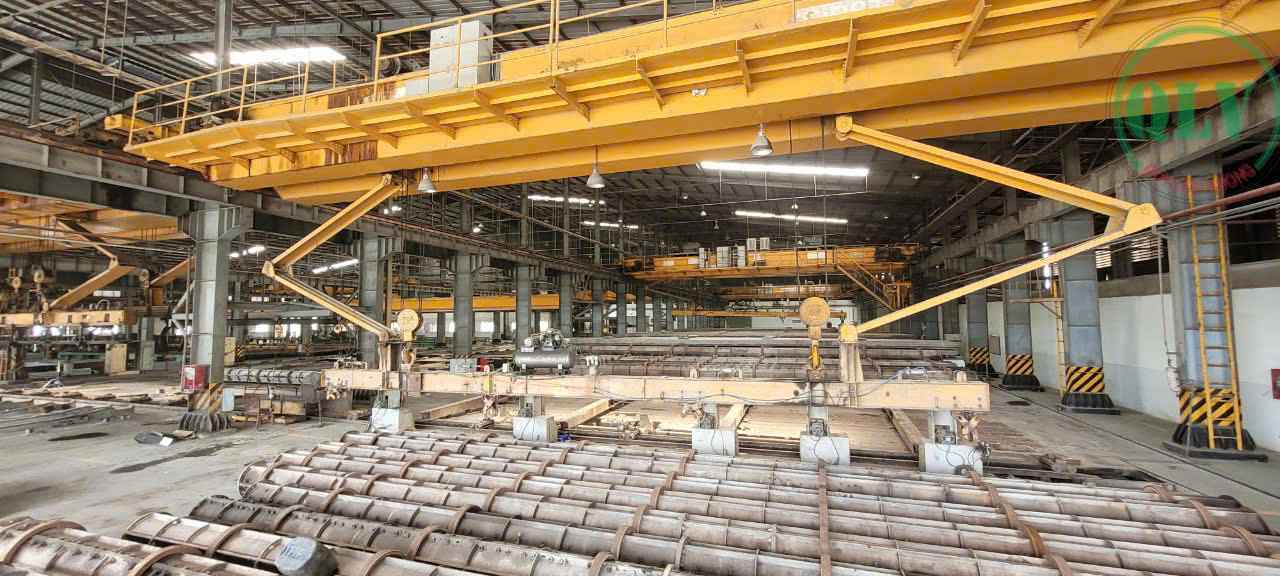 Ảnh đại diện