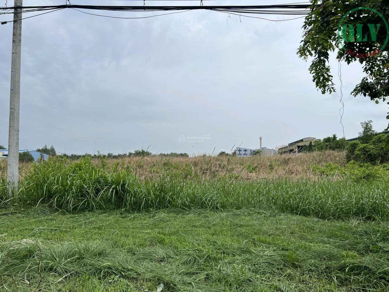 Ảnh đại diện