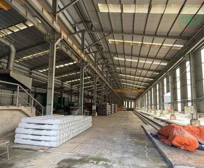 Ảnh đại diện