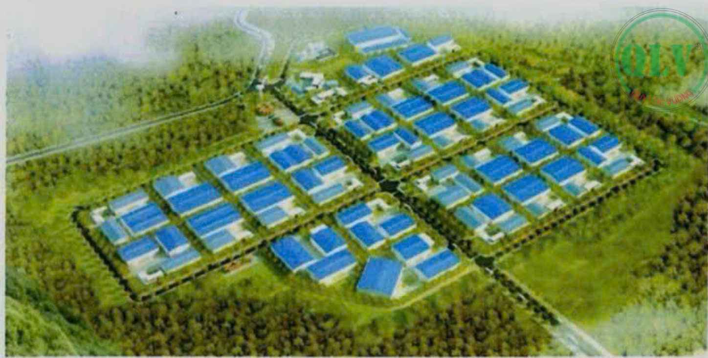 Ảnh đại diện