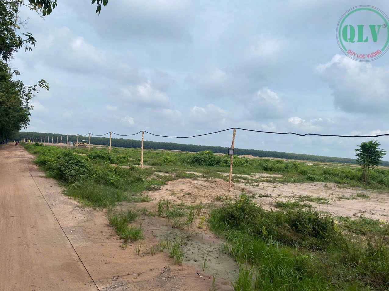 Ảnh đại diện