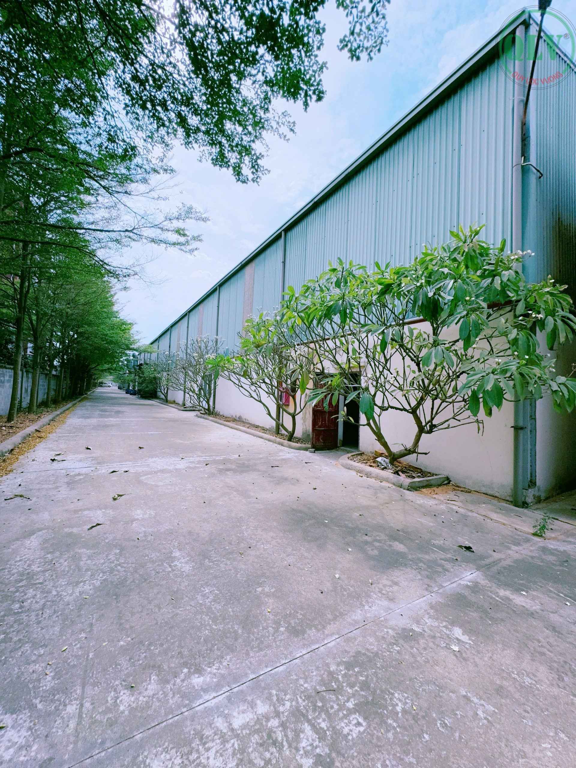 头顿工厂出售, 厂区面积30,000平方米，厂房美观，配备1,000KVA电力变压器