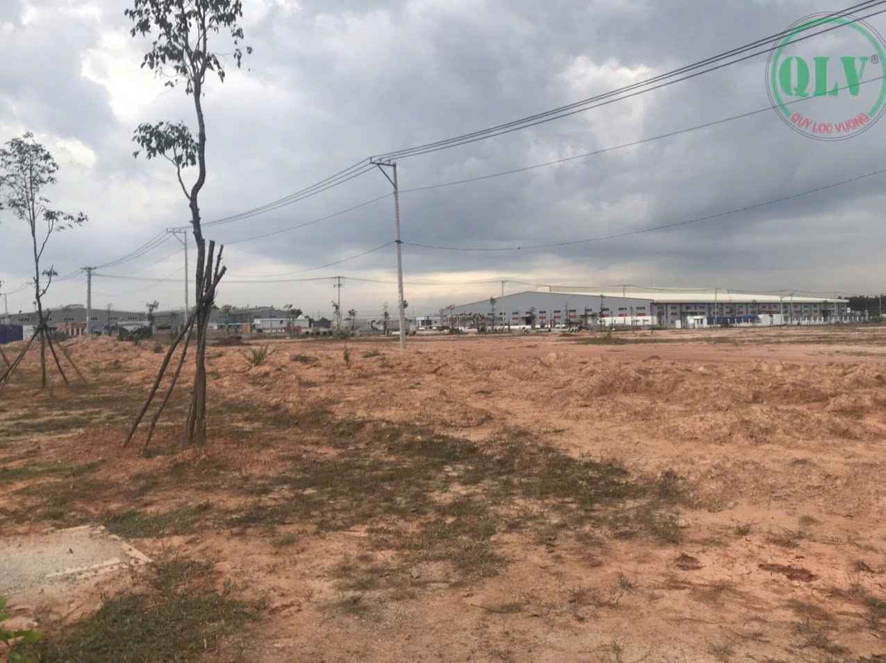 Ảnh đại diện