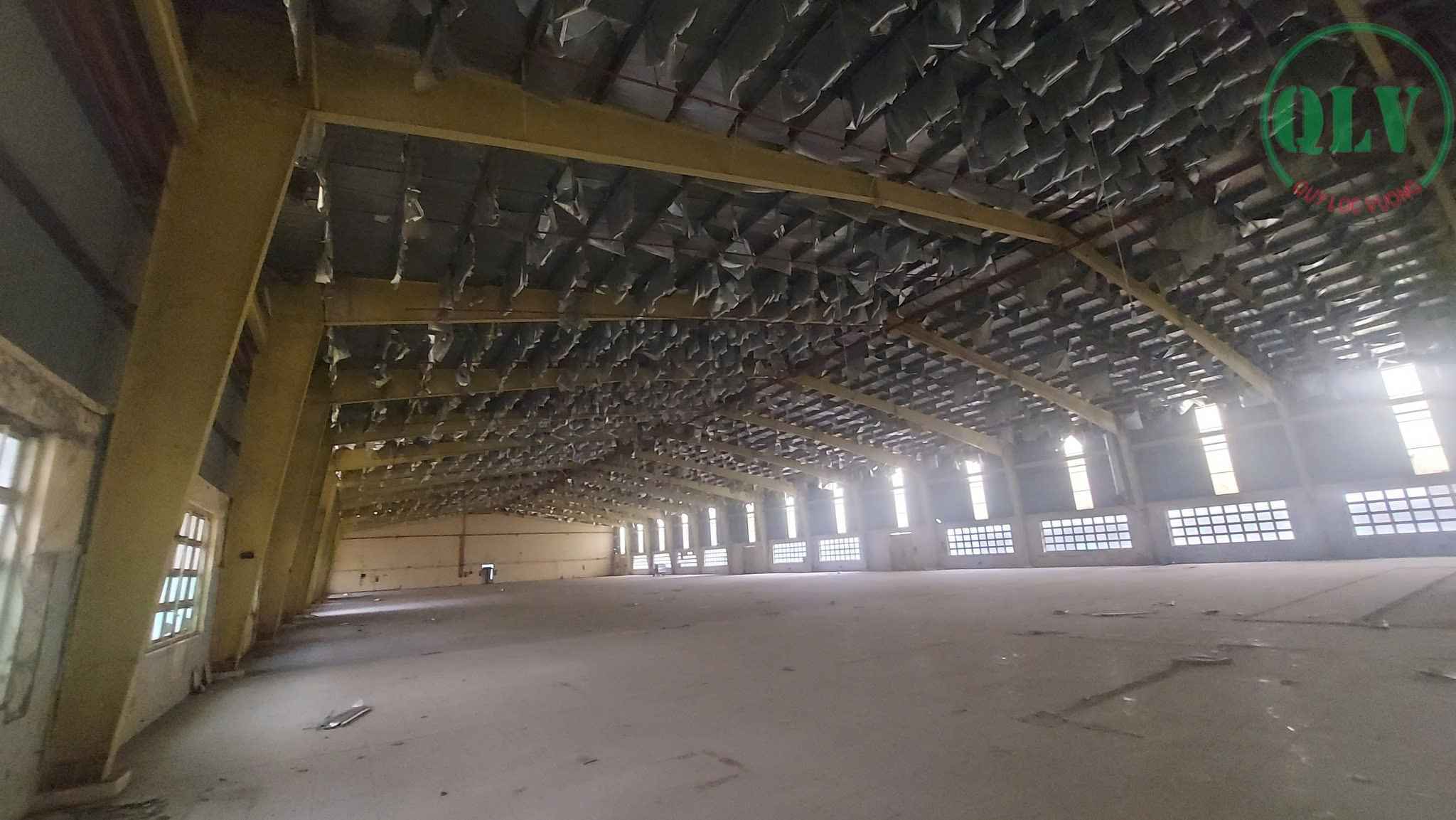 Ảnh đại diện