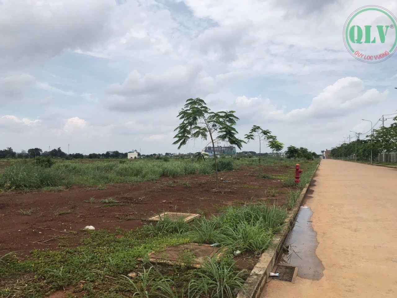 Ảnh đại diện