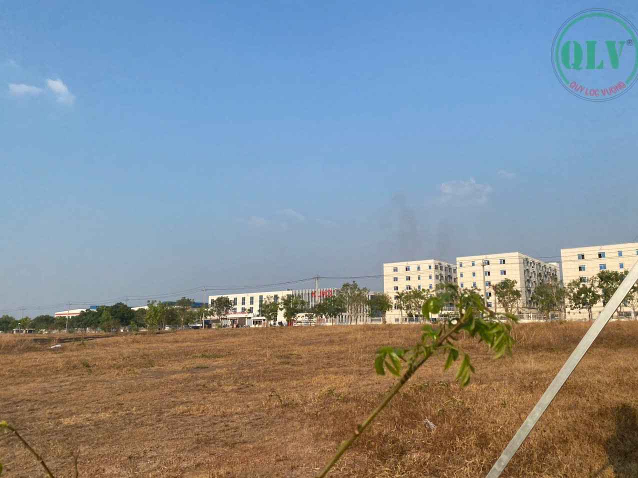 Ảnh đại diện