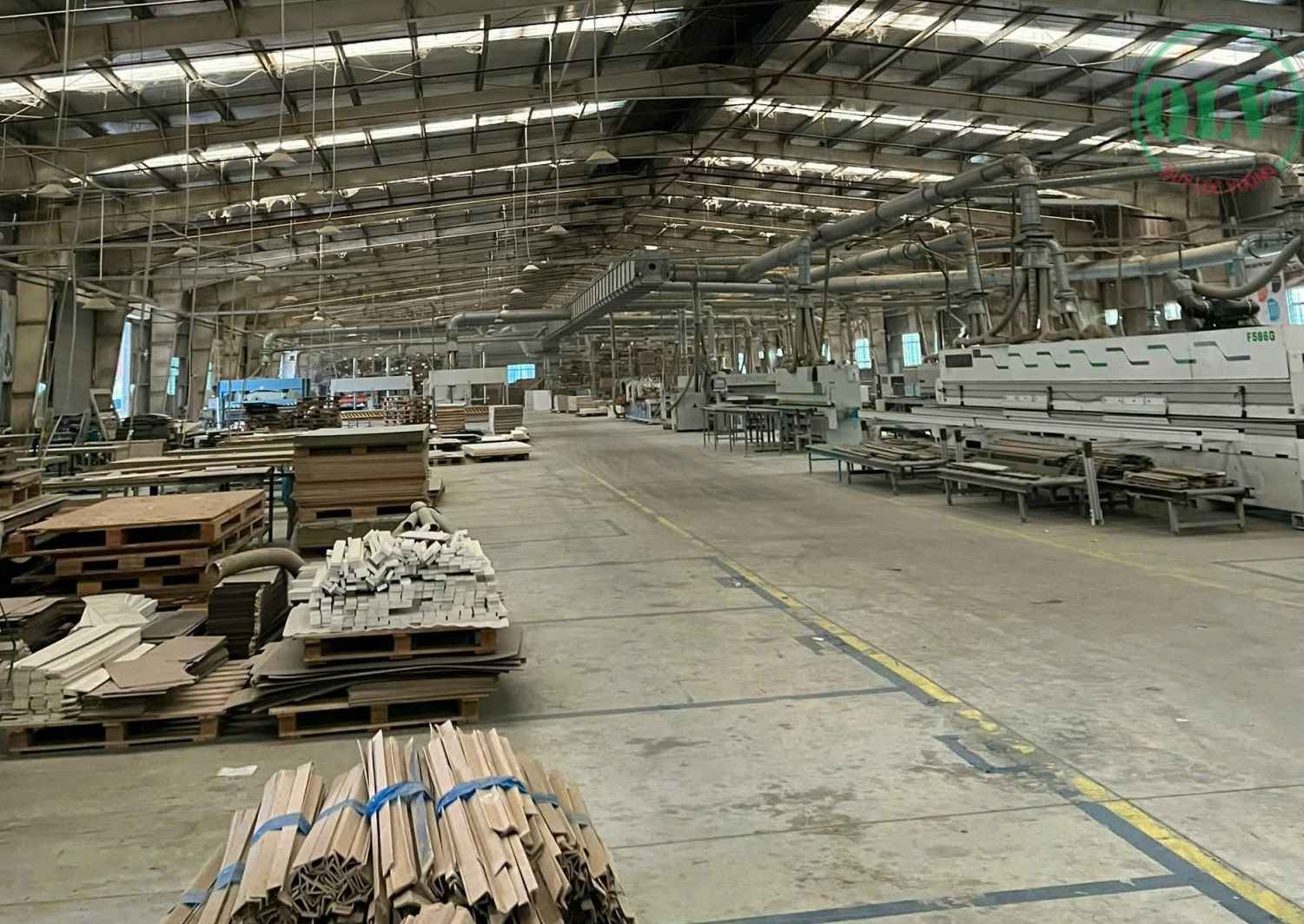 Ảnh đại diện