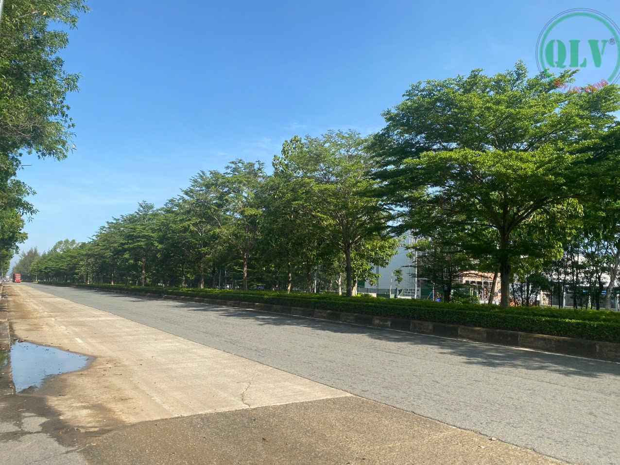 卖厂房 占, 地面积16,000平方米，厂房优美，靠近港口及大型物流中心