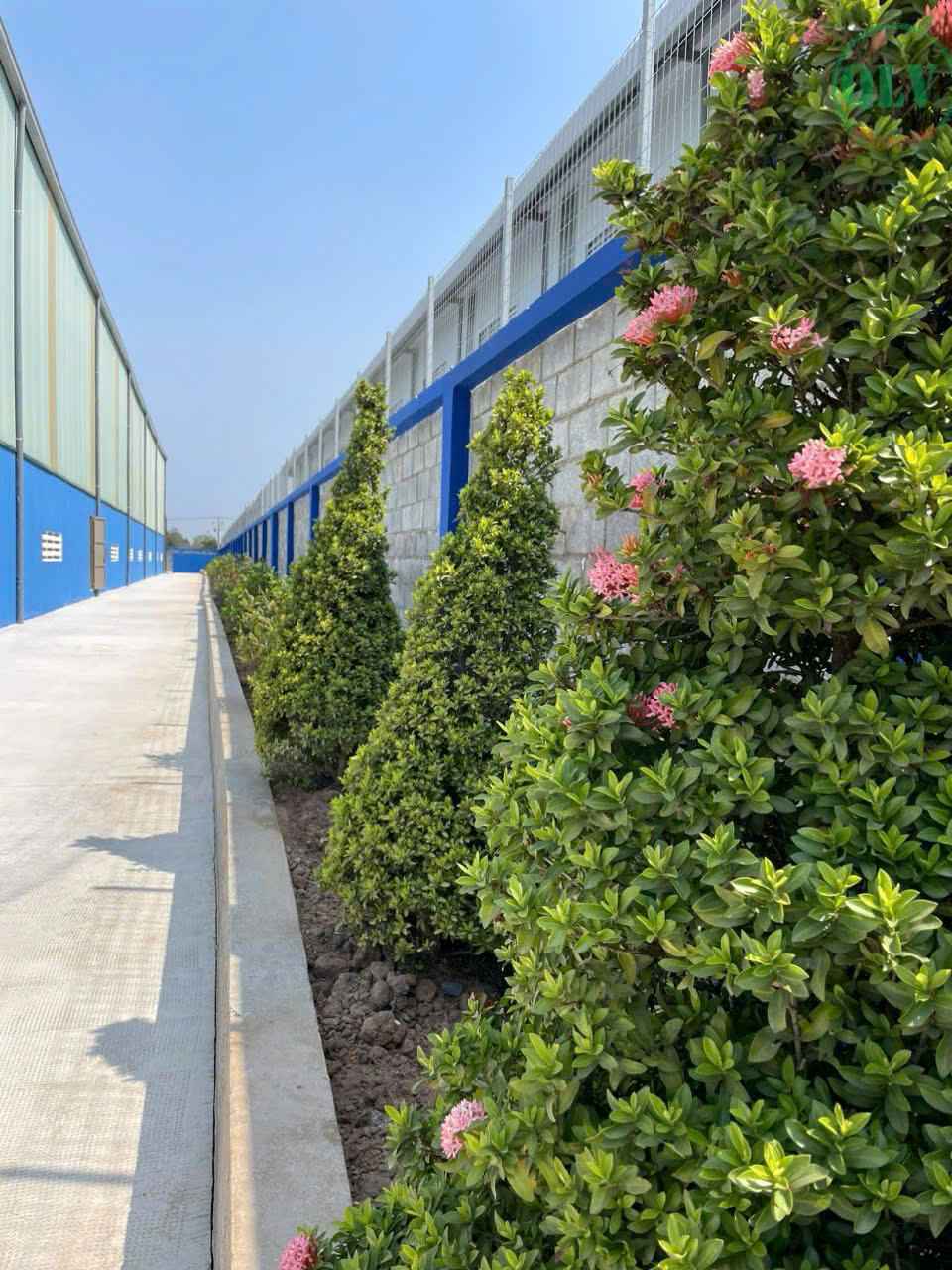 厂房转让, 位于胡志明市，厂房漂亮，带办公室，证件齐全