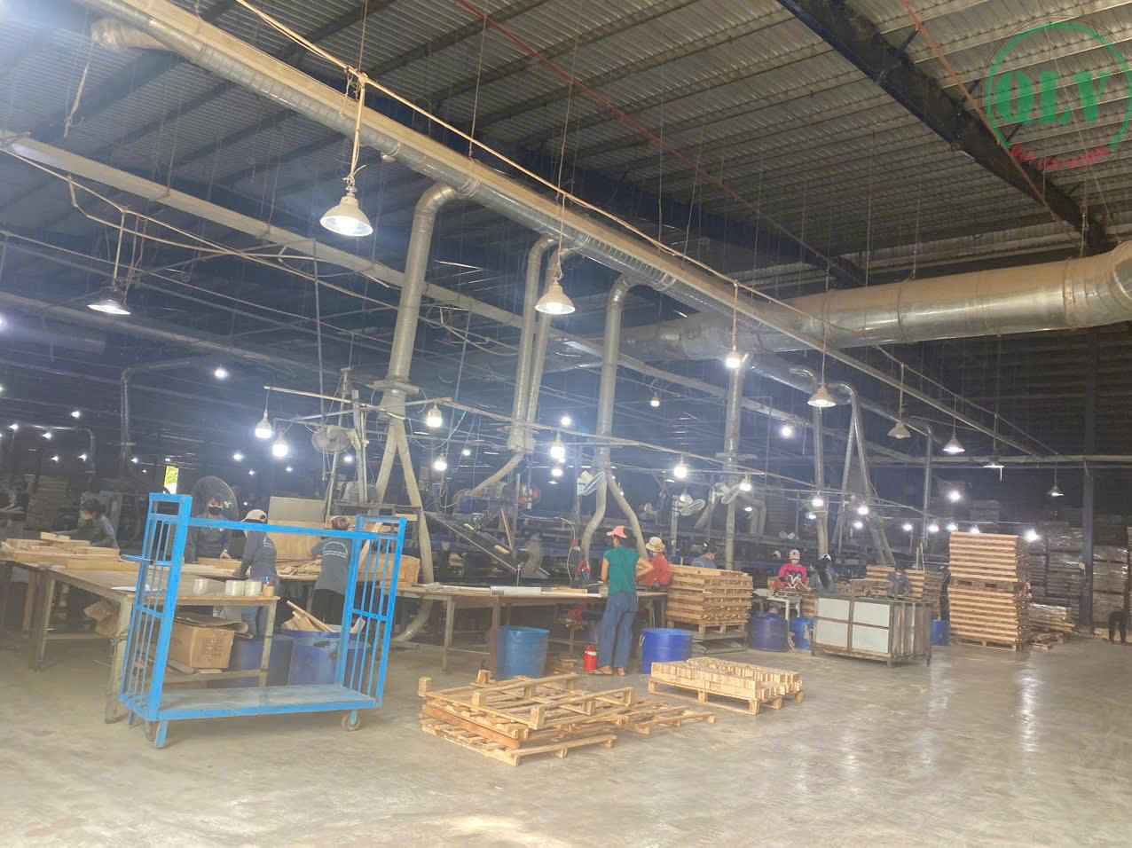 Ảnh đại diện