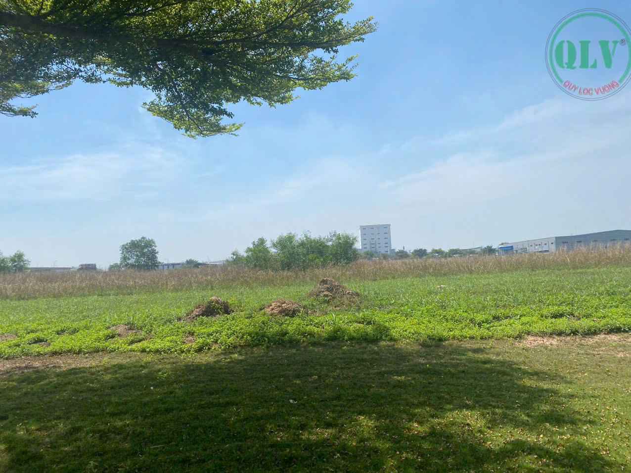 Ảnh đại diện