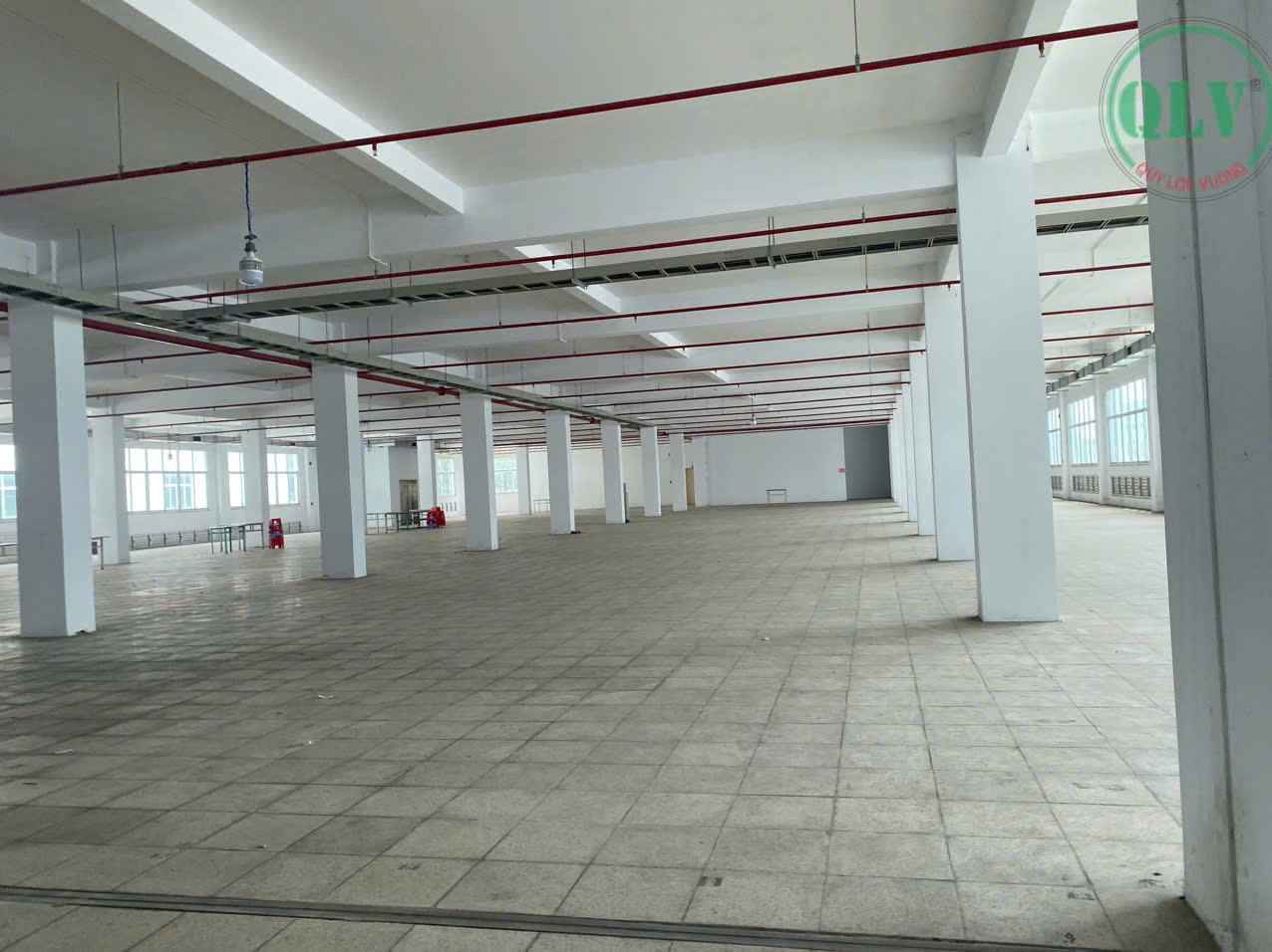 Ảnh đại diện